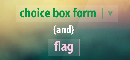 flag and choice box form