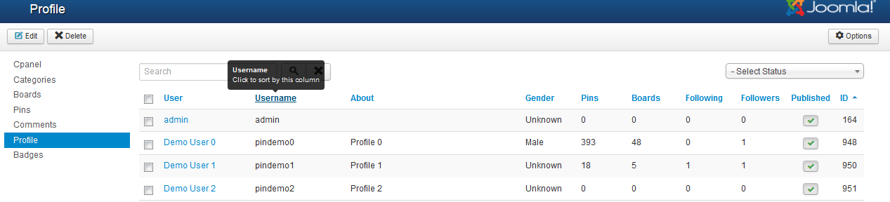 manage profile in jv pintertest