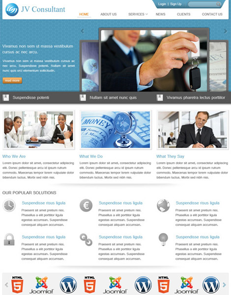 consultant