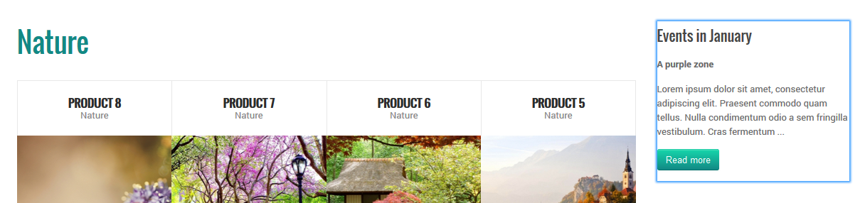 module custom html frontend