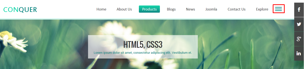 module custom html frontend