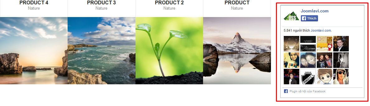 module facelinker frontend