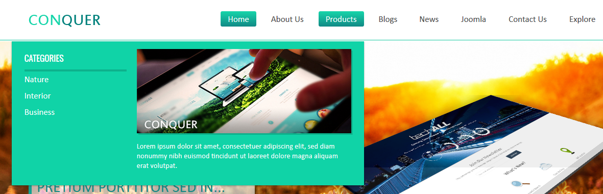 mega menu in frontend