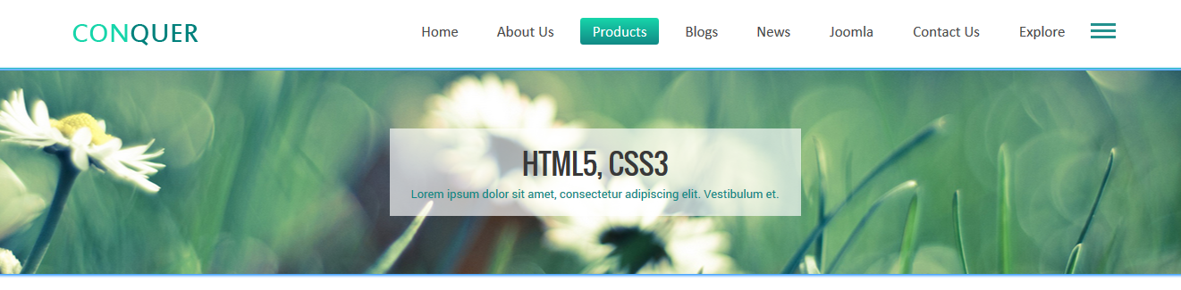 module custom html frontend
