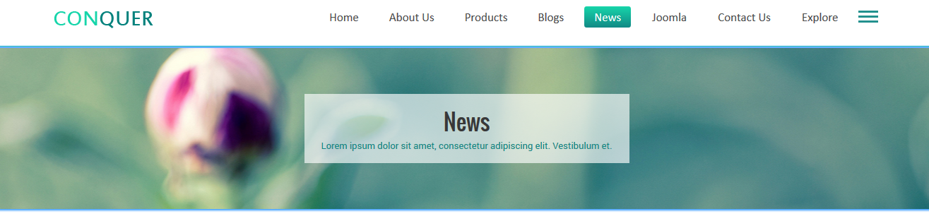 module custom html frontend