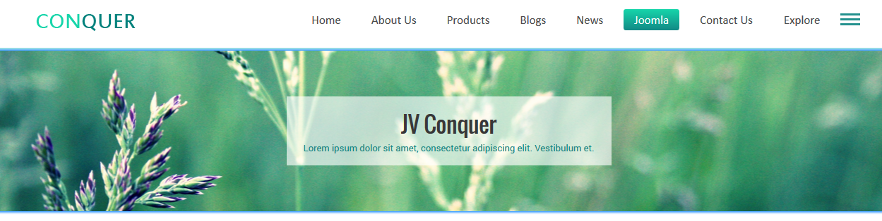 module custom html frontend