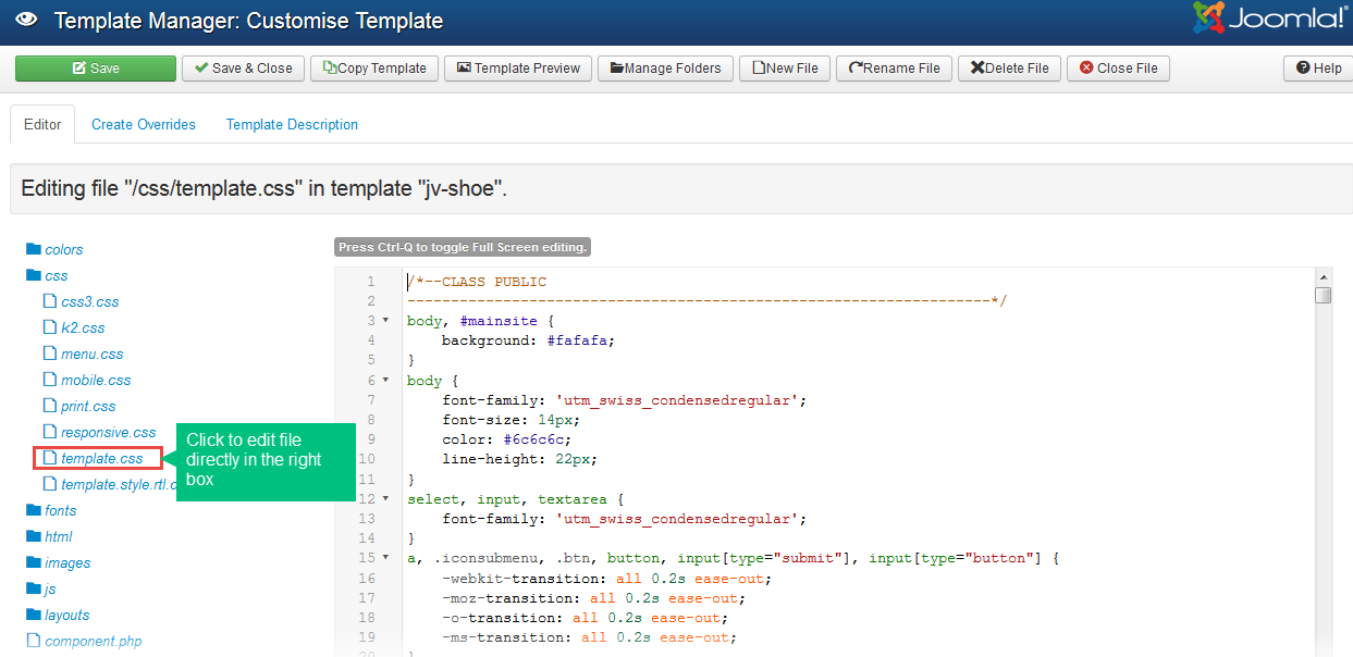 edit core files directly on web browser