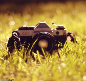 115_digital_came_4e7d30561956666