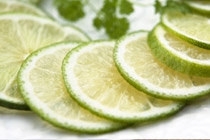 Sed pretium justo in elit tristique id imperdiet