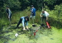 voleenteer voleenteer