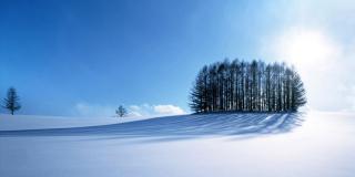 Lorem ipsum dolor sit amet