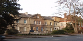 Ut sed magna sit amet quam iaculis