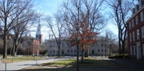 Ut sed magna sit amet quam iaculis