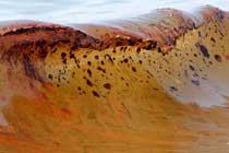 environmental-pollution_01.jpg