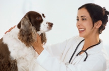 Critical Care