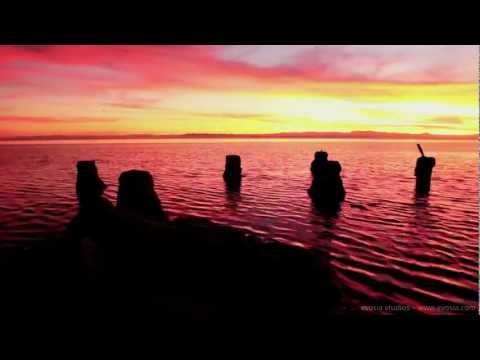 Nature Time Lapse │ HD Nature Time Lapse │ HD