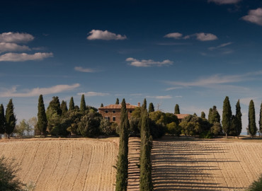 view (51)